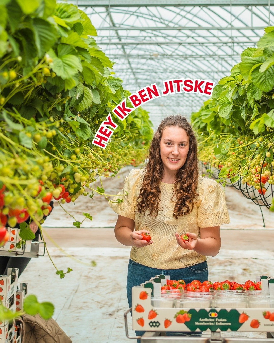 Jitske in de serre met verse aardbeien in haar handen, tussen de aardbeienplanten.
